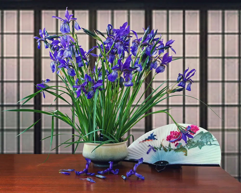 una unica planta en centro de mesa estilo de decoración japandi